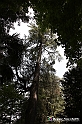 VBS_1551 - Castello di Miradolo - Mostra Oltre il giardino l'Abbecedario di paolo Pejrone